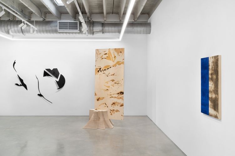Installation view, That Which Comes Together, Mindy Solomon Gallery · 2026 (3)