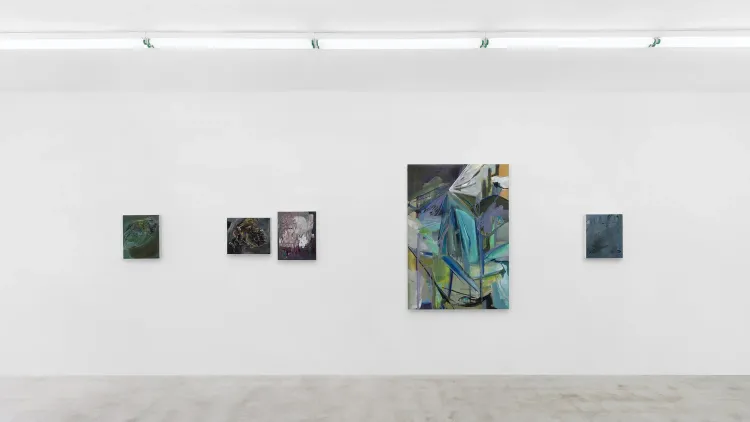 Installation view, Higher Bodies, Central Fine · 2026 (1)
