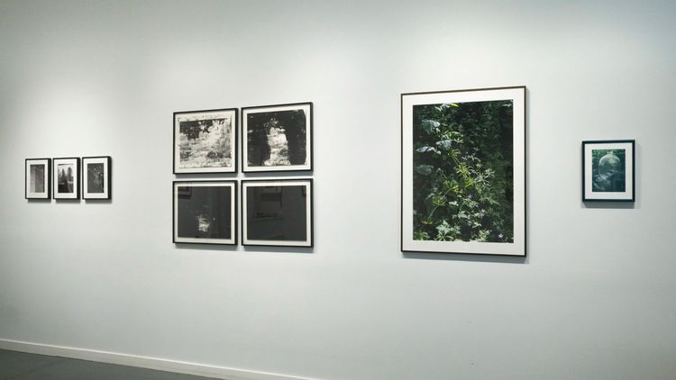 Installation view, An Unending Path, CHUNG 24 GALLERY · 2026 (3)