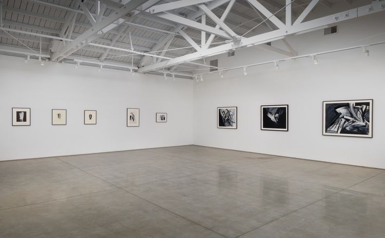 Installation view, Space Exploration, Marc Selwyn Fine Art · 2026 (1)
