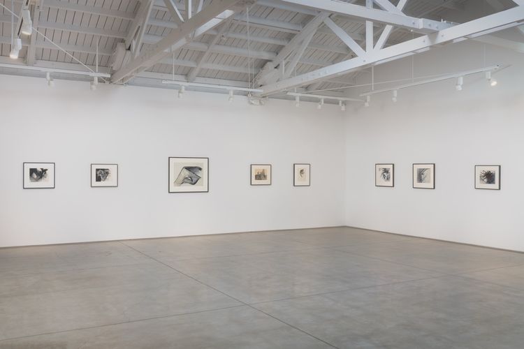 Installation view, Space Exploration, Marc Selwyn Fine Art · 2026 (6)