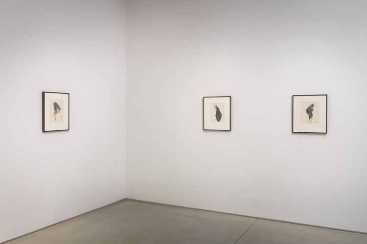 Installation view, Space Exploration, Marc Selwyn Fine Art · 2026 (3)
