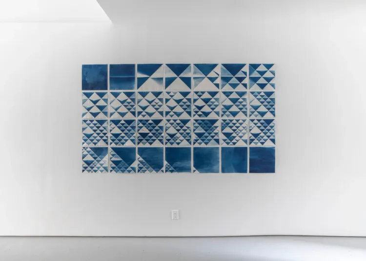 Installation view, Raking Light, Planthouse