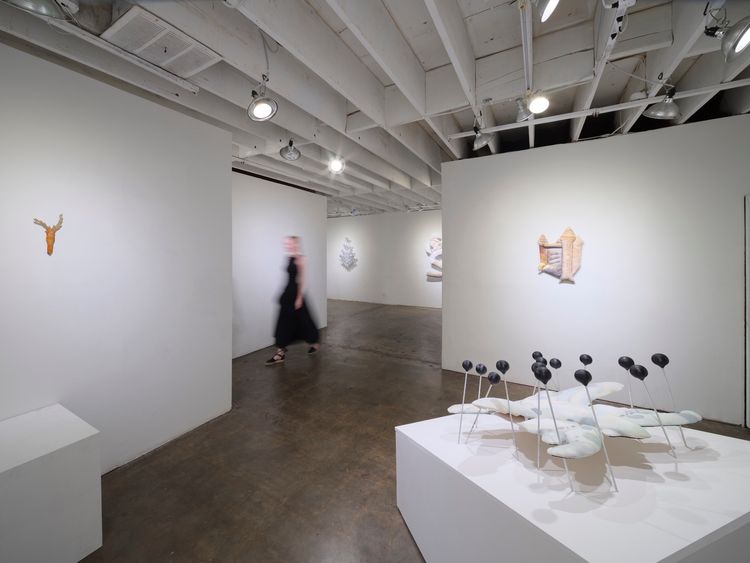 Installation view, SPLAY, GALLERY SADE LOS ANGELES · 2026 (1)