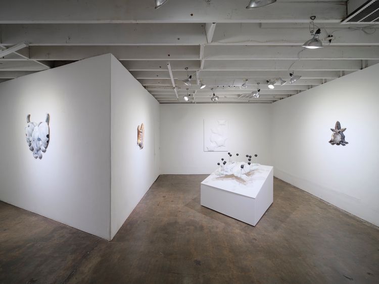 Installation view, SPLAY, GALLERY SADE LOS ANGELES · 2026 (4)