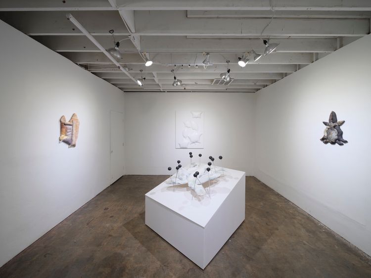 Installation view, SPLAY, GALLERY SADE LOS ANGELES · 2026 (2)