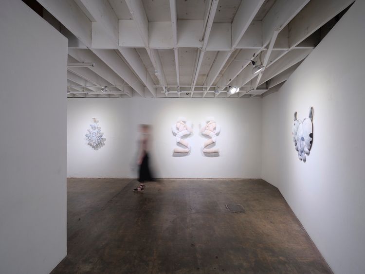 Installation view, SPLAY, GALLERY SADE LOS ANGELES · 2026 (7)