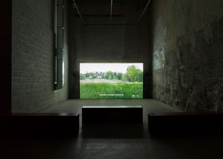 Installation view, IF REVOLUTION IS A SICKNESS, Bradley Ertaskiran