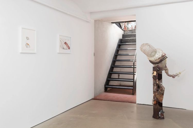 Installation view, Beyond Inadequate Measure, Entrance Gallery, Lower East Side · 2026 (4)