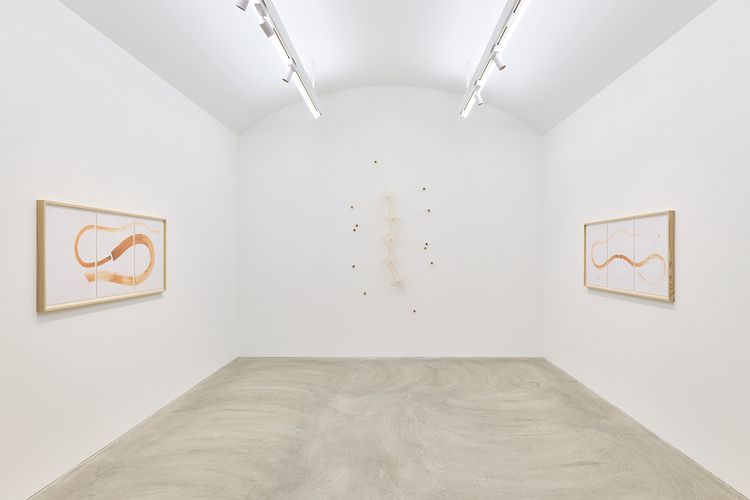 Installation view, Ernesto Neto, Tomio Koyama Gallery · 2026 (7)