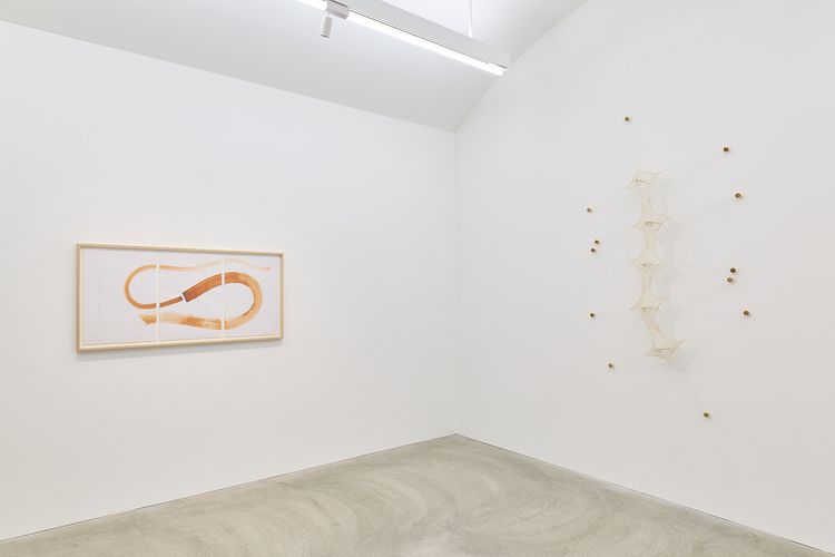 Installation view, Ernesto Neto, Tomio Koyama Gallery · 2026 (6)