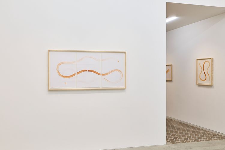 Installation view, Ernesto Neto, Tomio Koyama Gallery · 2026 (4)