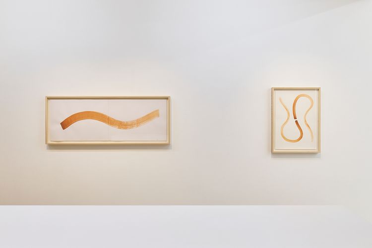 Installation view, Ernesto Neto, Tomio Koyama Gallery · 2026 (2)