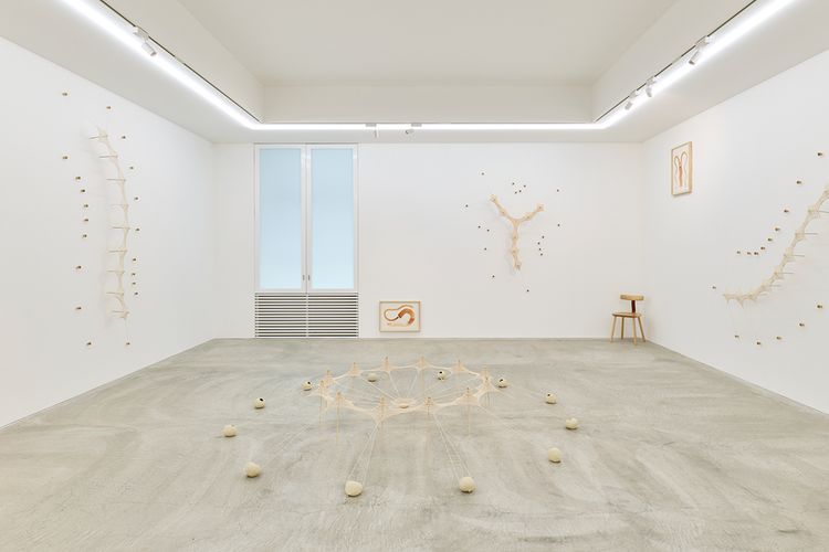 Installation view, Ernesto Neto, Tomio Koyama Gallery · 2026 (8)