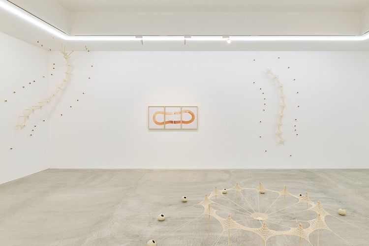 Installation view, Ernesto Neto, Tomio Koyama Gallery · 2026 (3)