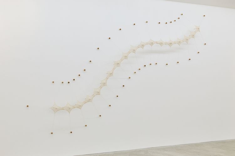 Installation view, Ernesto Neto, Tomio Koyama Gallery · 2026 (5)