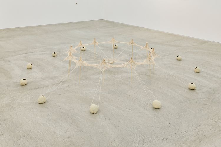 Installation view, Ernesto Neto, Tomio Koyama Gallery · 2026 (9)