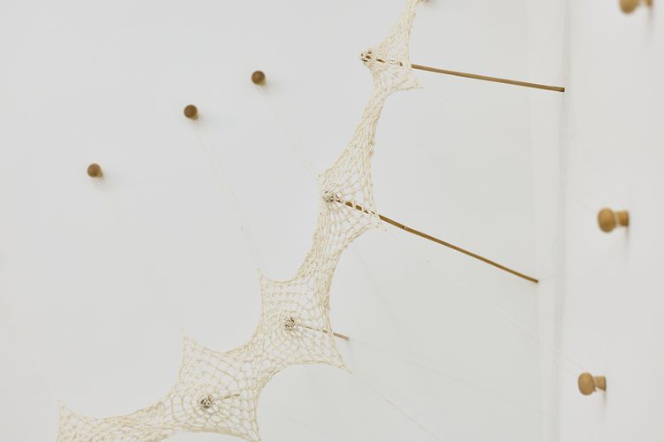 Installation view, Ernesto Neto, Tomio Koyama Gallery