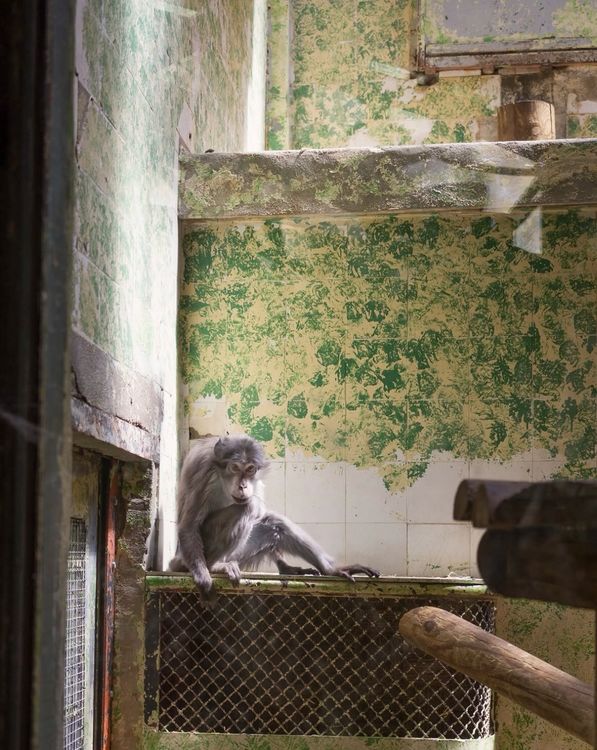 Installation view, Hertta Kiiski: Fever Dream, NOON Projects · 2025 (4)