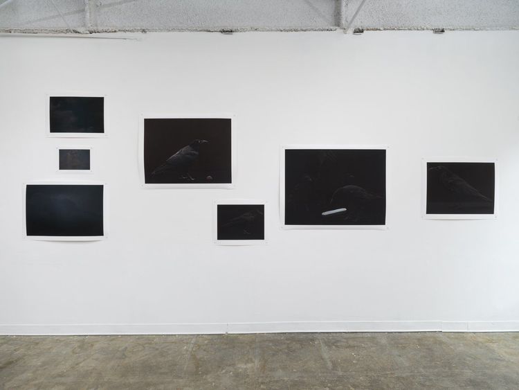 Installation view, Giovanni Jance, Foyer LA · 2025 (5)