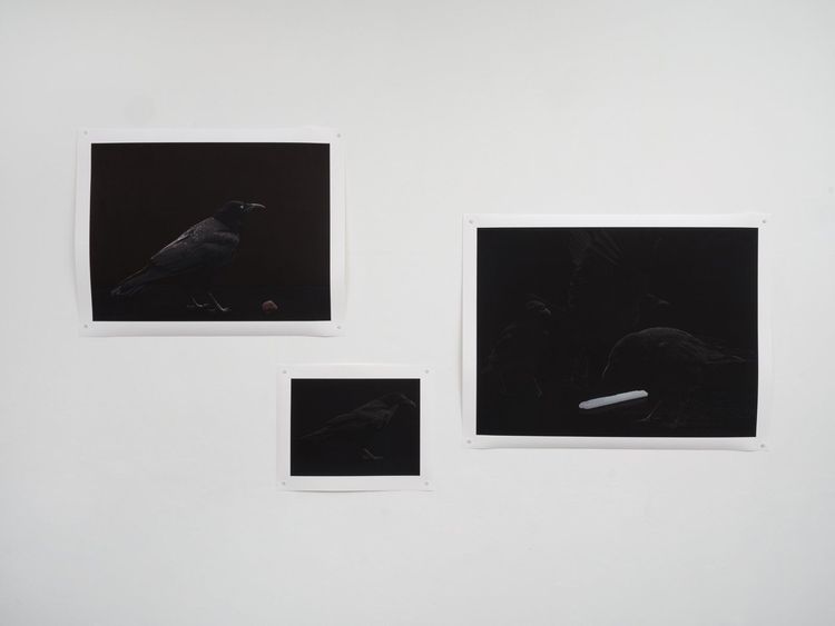Installation view, Giovanni Jance, Foyer LA · 2025 (2)