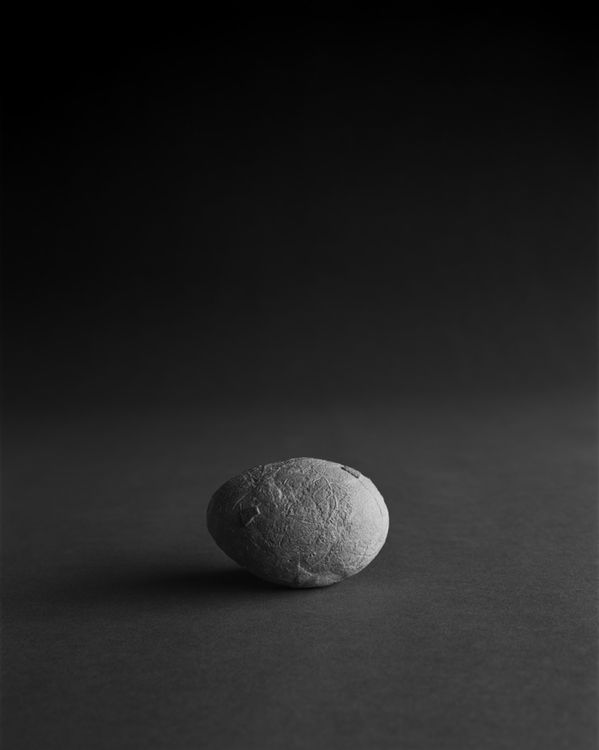 Installation view, Seascapes, Gallery Koyanagi · 2026 (12)
