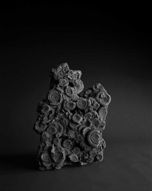 Installation view, Seascapes, Gallery Koyanagi · 2026 (6)