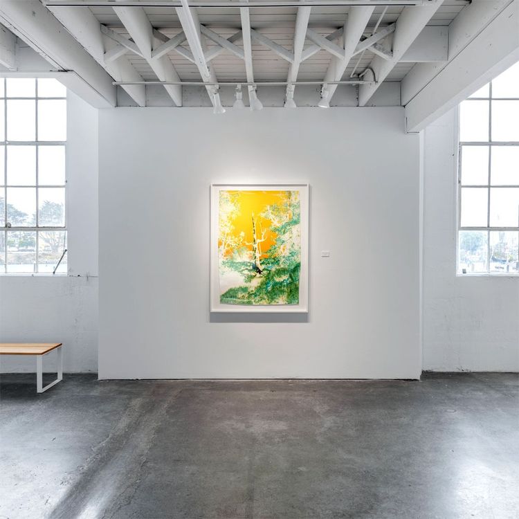 Installation view, Bay Panel, SF Camerawork · 2026 (5)