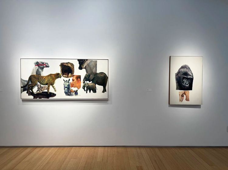 Installation view, White Ground Paintings, Nancy Hoffman · 2026 (13)