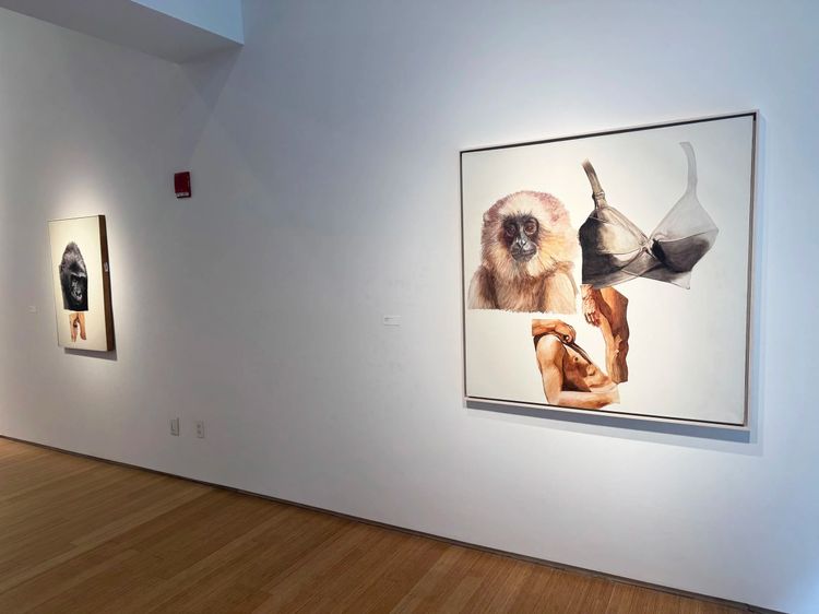 Installation view, White Ground Paintings, Nancy Hoffman · 2026 (8)