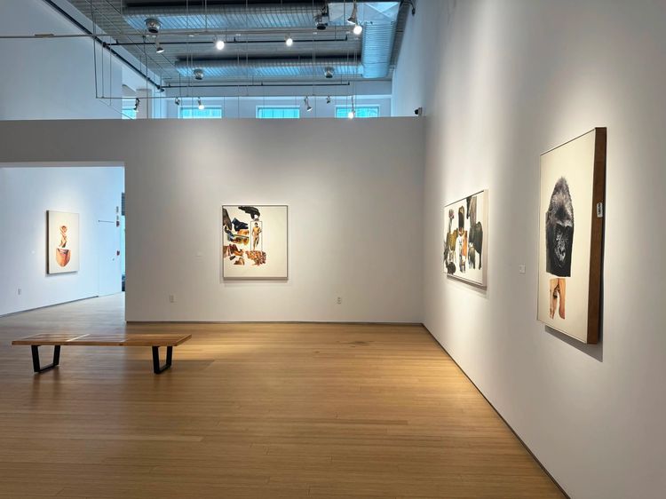 Installation view, White Ground Paintings, Nancy Hoffman · 2026 (7)
