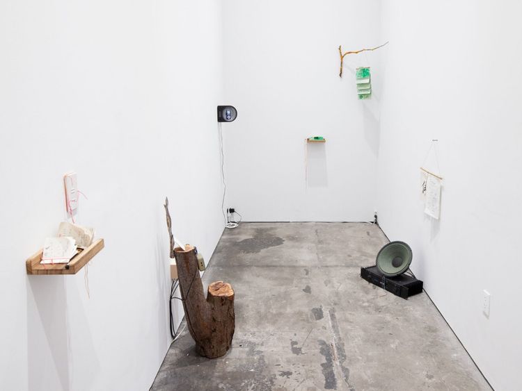 Installation view, Impressions, / slash art · 2026 (5)