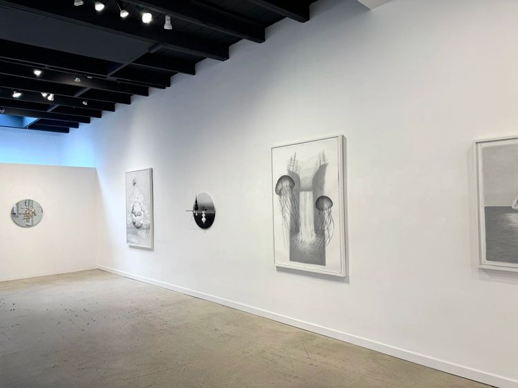 Installation view, MIRRORED DREAMS, TINT Gallery · 2026 (4)