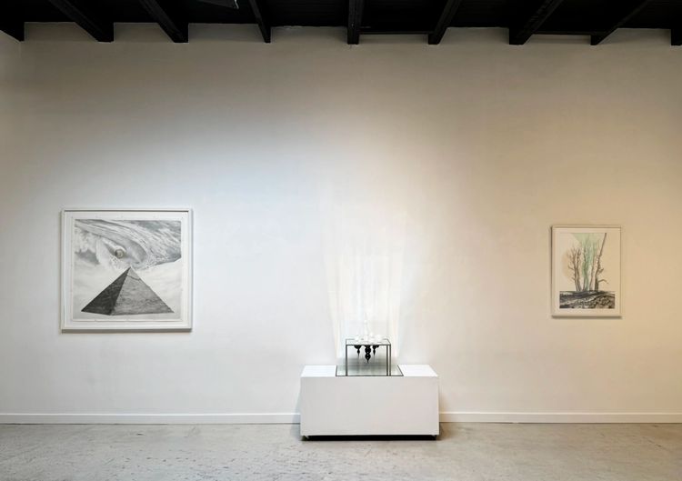 Installation view, MIRRORED DREAMS, TINT Gallery · 2026 (3)