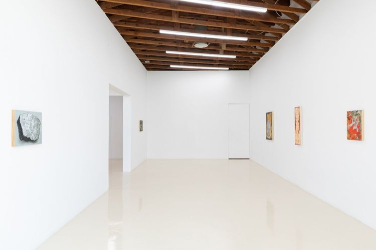 Installation view, The Terminal Beach, Chris Sharp · 2025 (8)