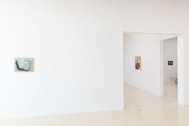 Installation view, The Terminal Beach, Chris Sharp · 2025 (9)
