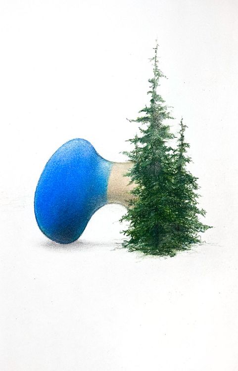 Installation view, Park, Situations