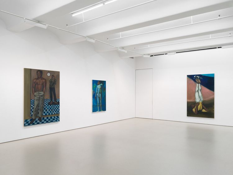 Installation view, Many A Moonlit Caveat, Jack Shainman Gallery, Chelsea · 2026 (3)