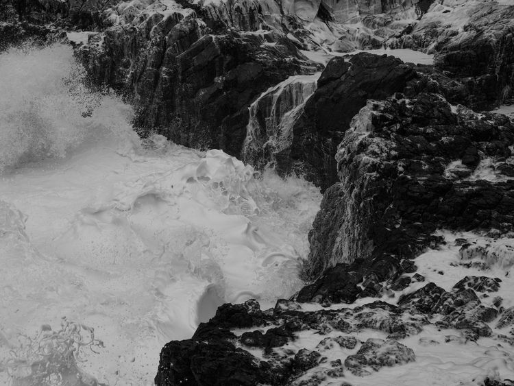 Installation view, Low Tide, Gallery Luisotti · 2026 (14)