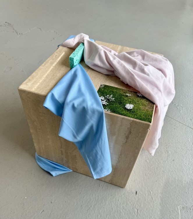 Installation view, Leyden Rodríguez-Casanova: State of Transition, Dimensions Variable · 2026 (5)