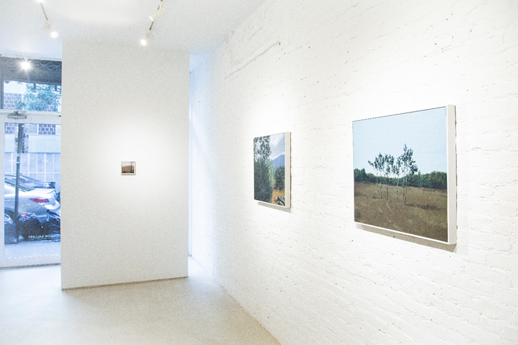Installation view, Landscapes, Gordon Gallery New York · 2025 (1)