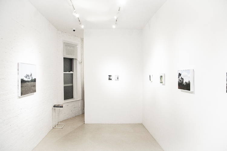 Installation view, Landscapes, Gordon Gallery New York · 2025 (2)