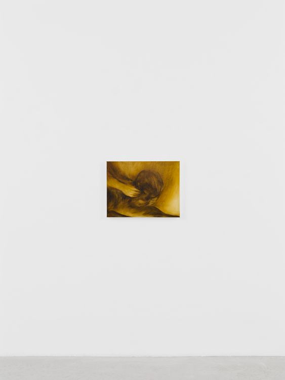 Installation view, Pain of Others, François Ghebaly · 2026 (9)