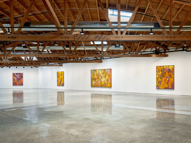 Installation view, Long Loops, Hauser & Wirth · 2025 (1)