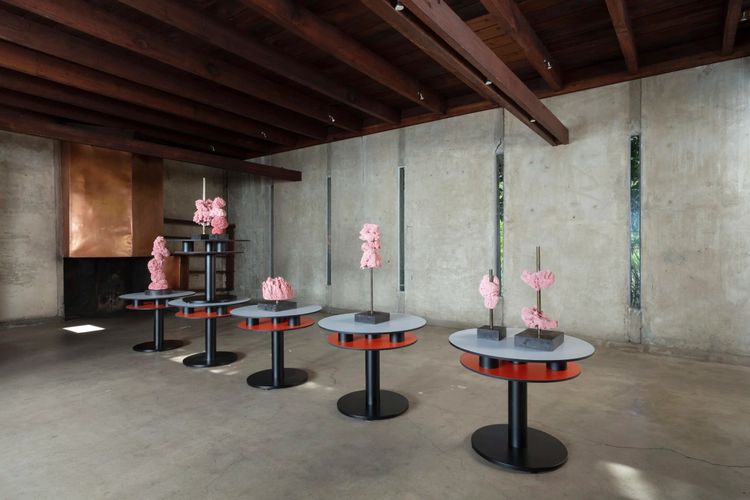 Installation view, Rainbows, Sponges, Flies, and Spoons, MAK Center for Art and Architecture at the Schindler House · 2026 (3)