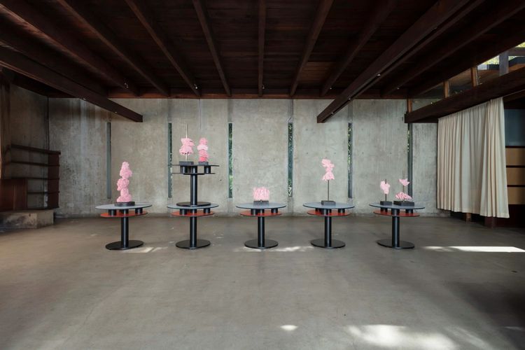 Installation view, Rainbows, Sponges, Flies, and Spoons, MAK Center for Art and Architecture at the Schindler House · 2026 (2)