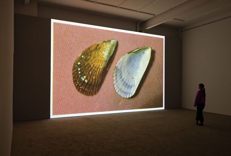 Installation view, A Universal Picture, Karma, 172 East 2nd Street · 2025 (3)
