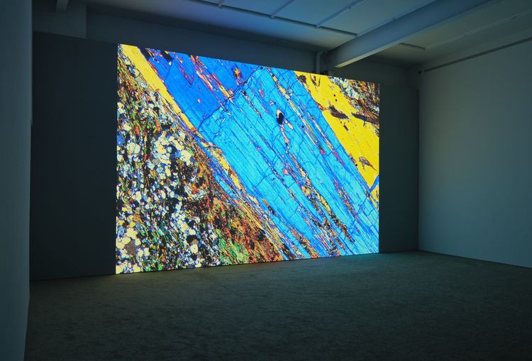 Installation view, A Universal Picture, Karma, 172 East 2nd Street · 2025 (2)