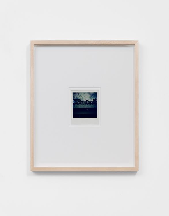 Installation view, Ecstatic Membrane, Megan Mulrooney