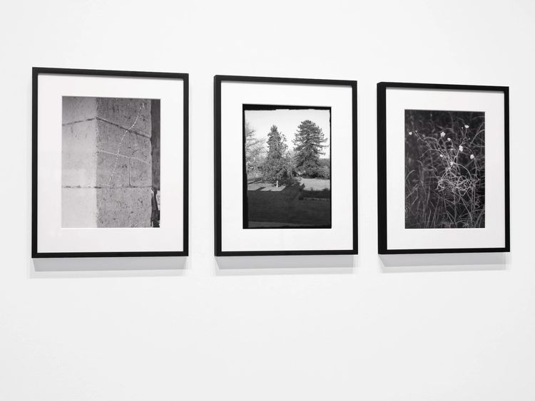 Installation view, An Unending Path, CHUNG 24 GALLERY · 2026 (2)